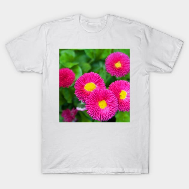 Purple Flower T-Shirt by Graz-Photos